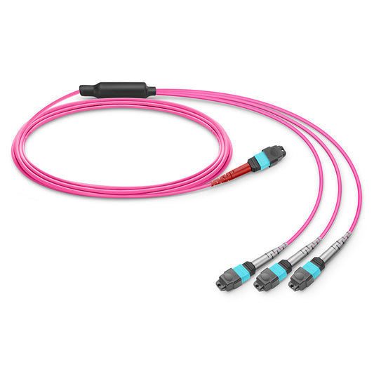 1m (3ft) MTP®-24 (Female) to 3 x MTP®-8 (Female) OM4 Multimode Conversion Harness Cable, 24 Fibers, Type B, Plenum (OFNP), Magenta