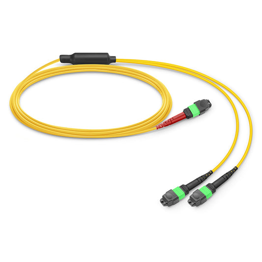 1m (3ft) MTP®-24 (Female) to 2 x MTP®-12 (Female) OS2 Single Mode Conversion Harness Cable, 24 Fibers, Type A, Plenum (OFNP), Yellow